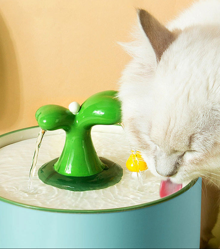 Water Fountain for Cats