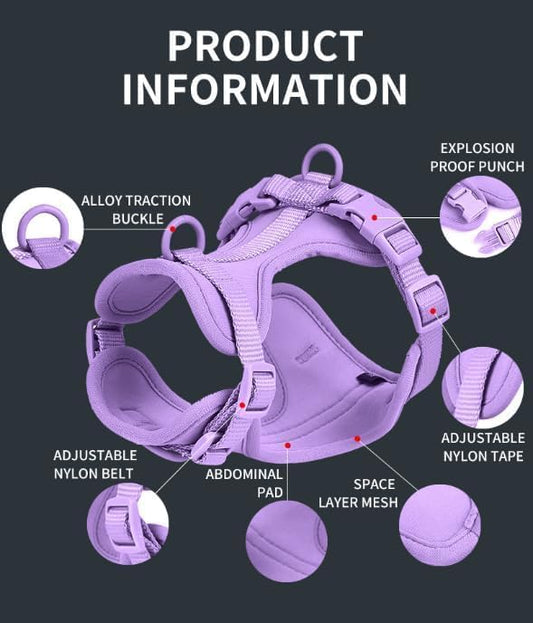 4 PCS Dog Walking Set | Harness, Collar, Leash, Poop Bag Holder