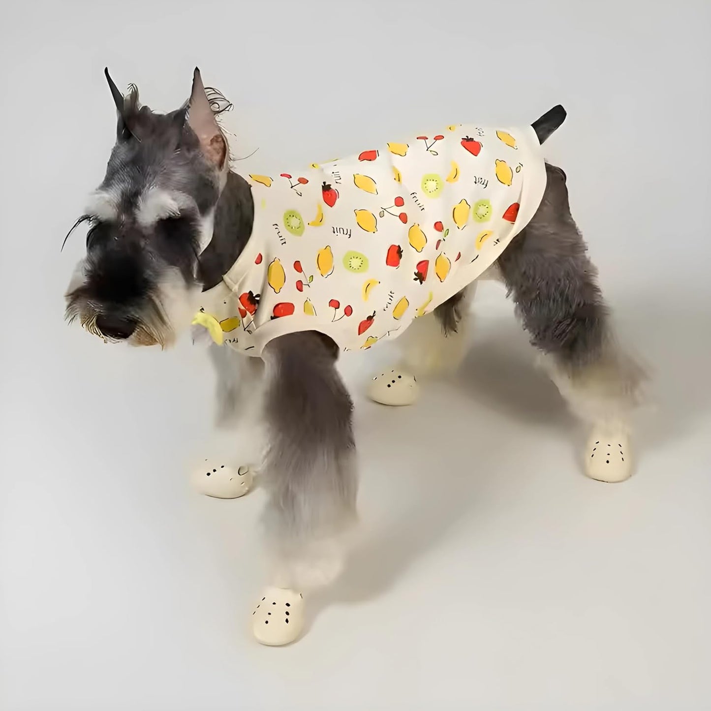 Stylish Lightweight Dog Shoes