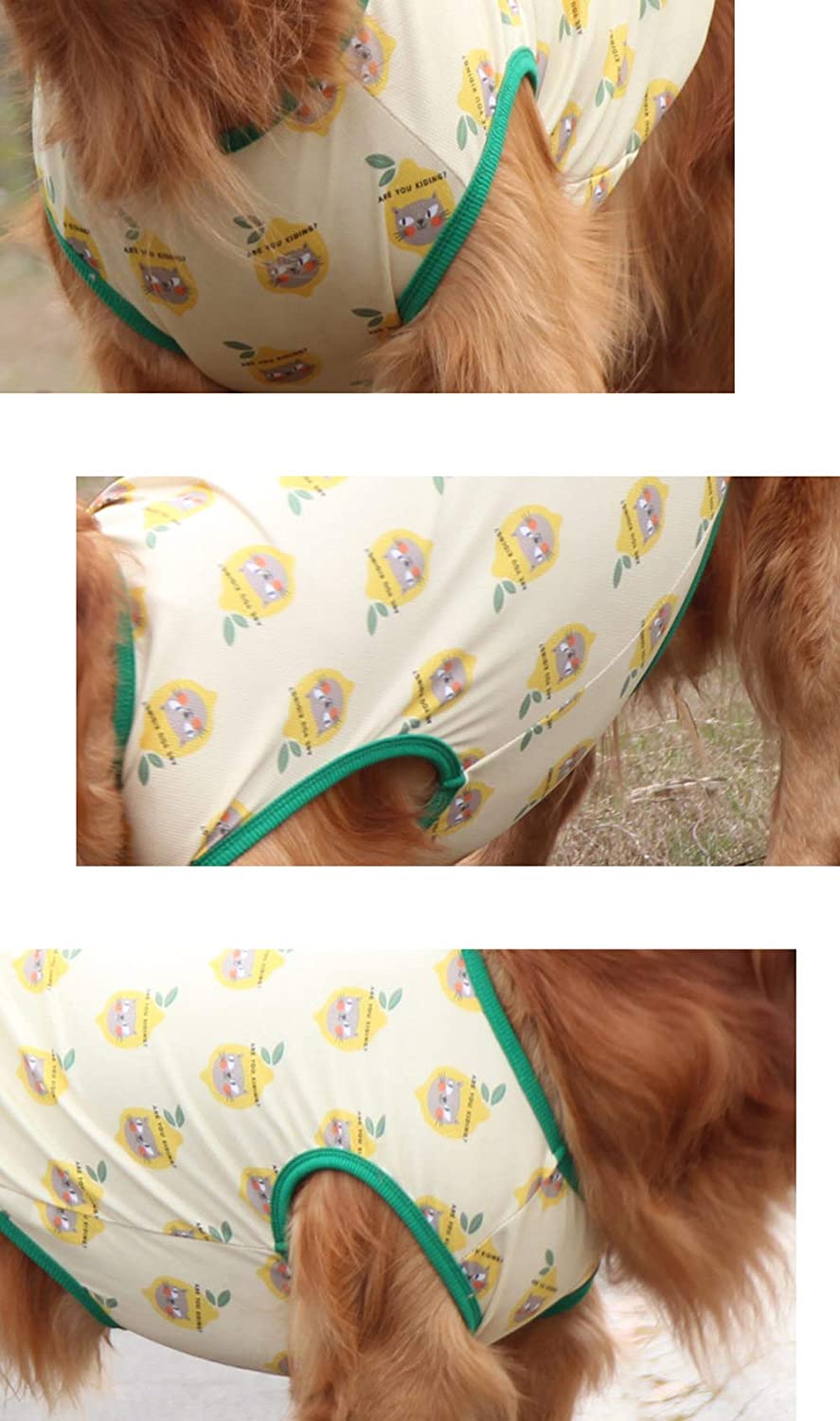 Large Breathable Dog T-shirt