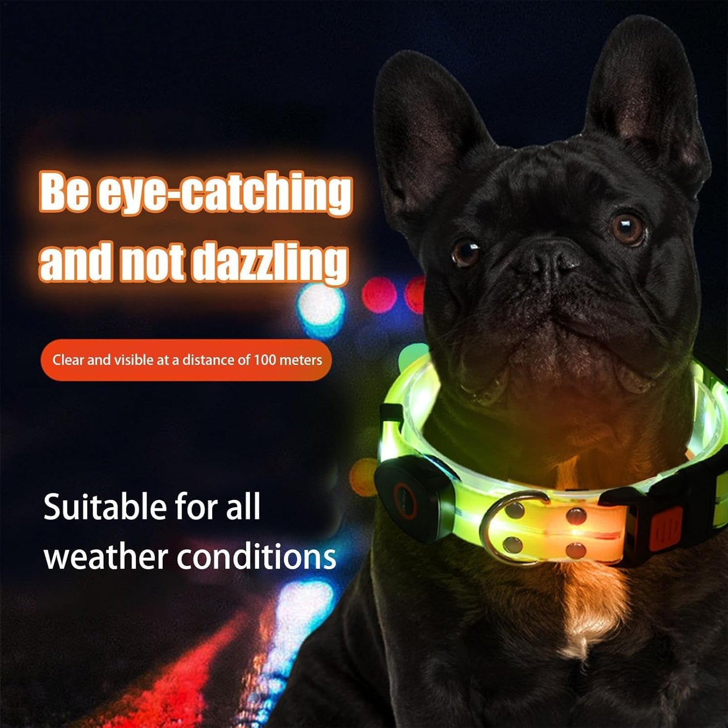 LED Light-Up Dog Leash – Rechargeable Safety Leash for Night Walks