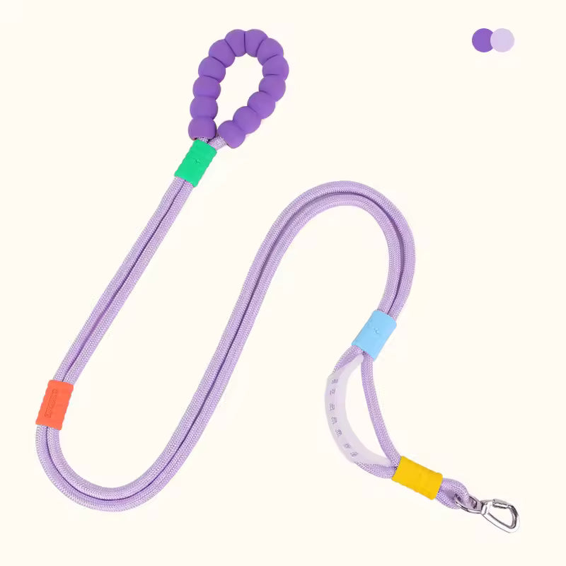 Hand-Free Double-Segmented Dog Leash