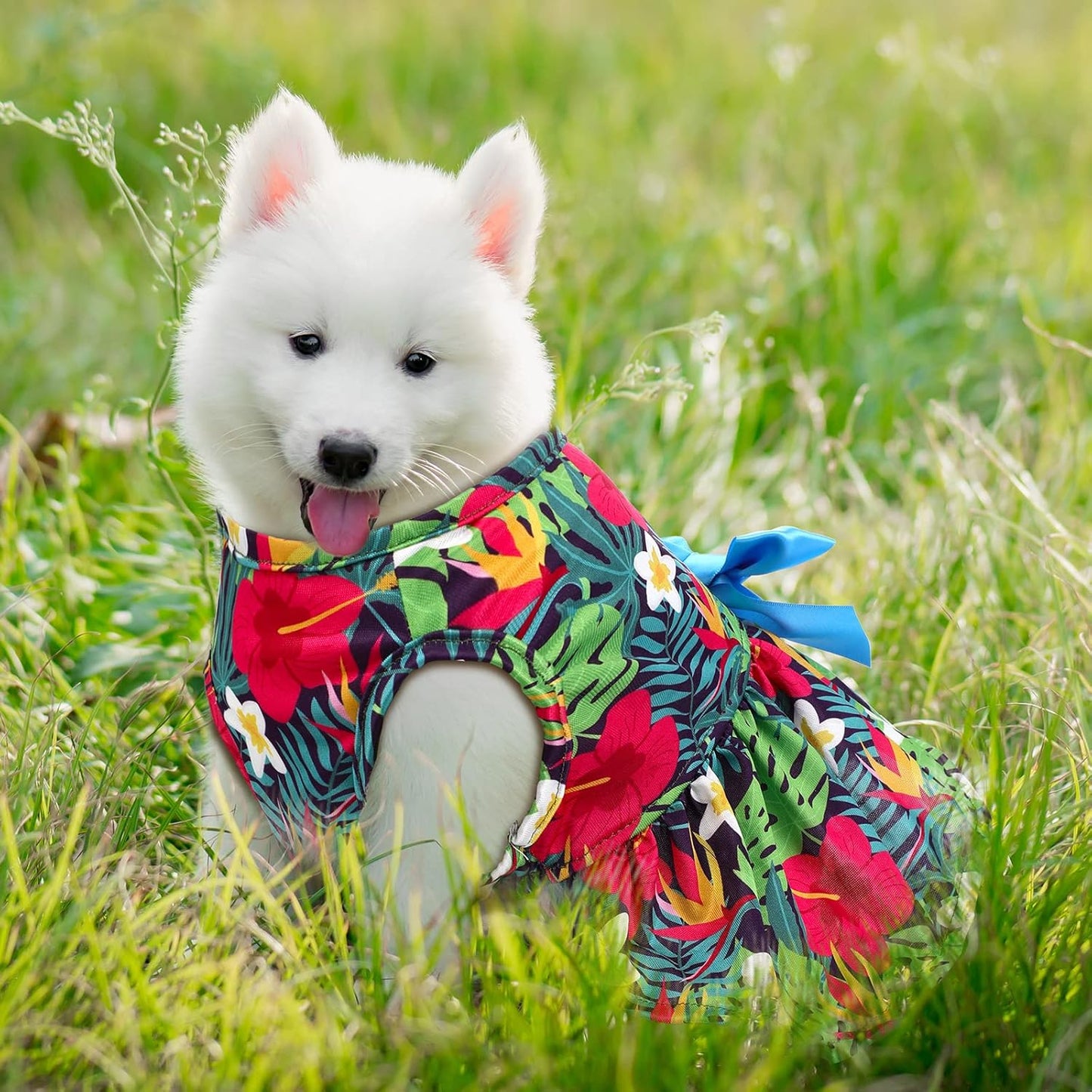 Vestidos con estampado floral de verano para perros y gatos