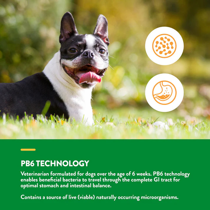 Advanced Probiotics & Enzymes Soft Chews