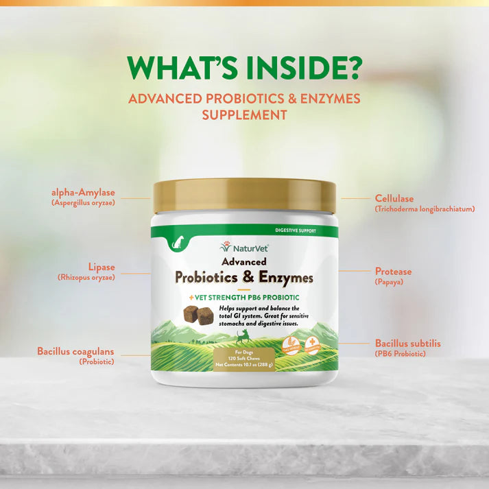 Advanced Probiotics & Enzymes Soft Chews