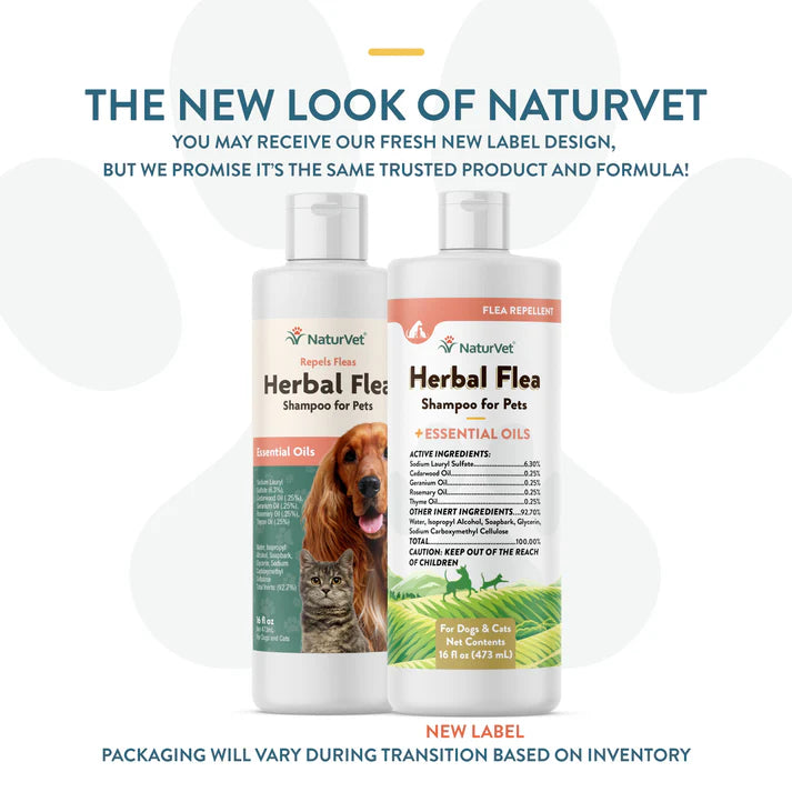Herbal Flea Shampoo - For Dogs and Cats