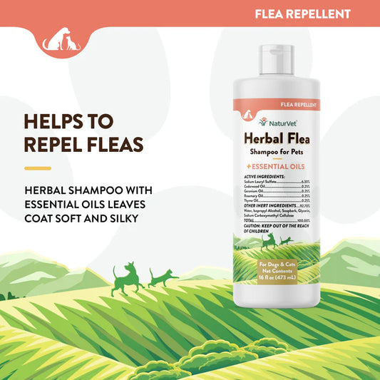 Herbal Flea Shampoo - For Dogs and Cats