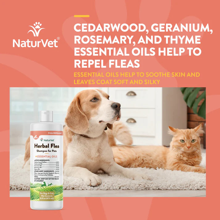 Herbal Flea Shampoo - For Dogs and Cats