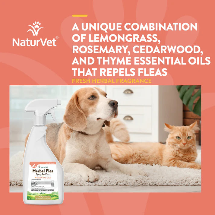 Herbal Flea Spray - For Dogs and Cats
