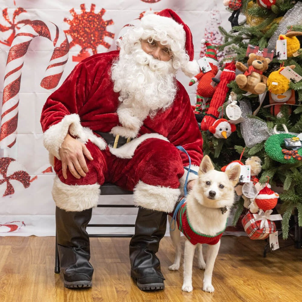 FREE Pet Photos with Santa