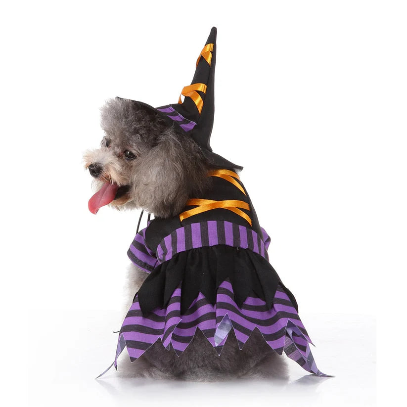 Halloween Witch Costume