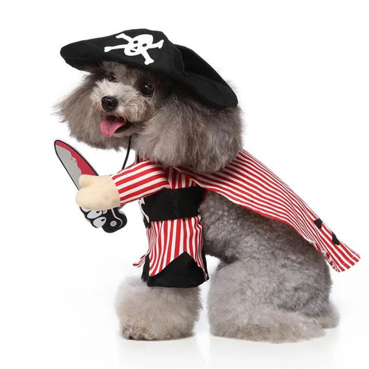 Pirate Dog Halloween Costume