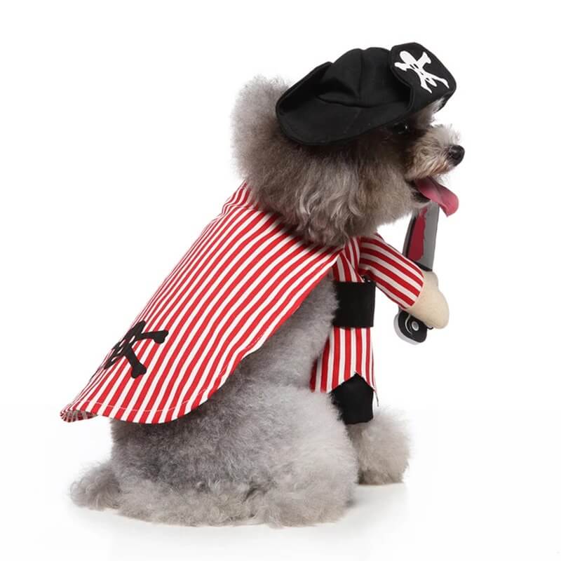 Pirate Dog Halloween Costume