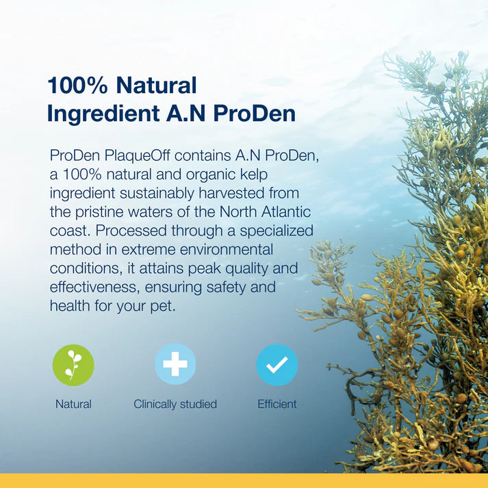 ProDen PlaqueOff® Powder for dogs and cats