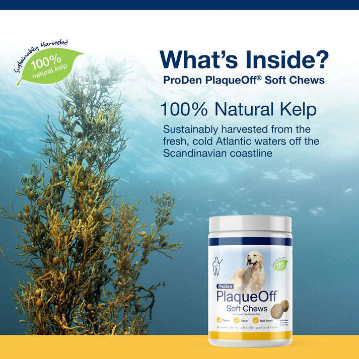 ProDen PlaqueOff® Large & Giant Breed Dog Soft Chew