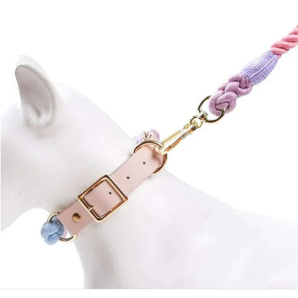 Leather Braided Dog Collar and Cotton Leash Set