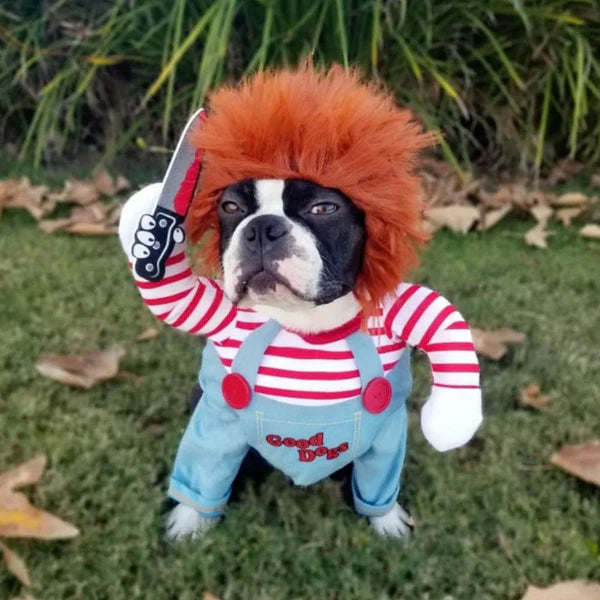Chucky Halloween Dog Costume