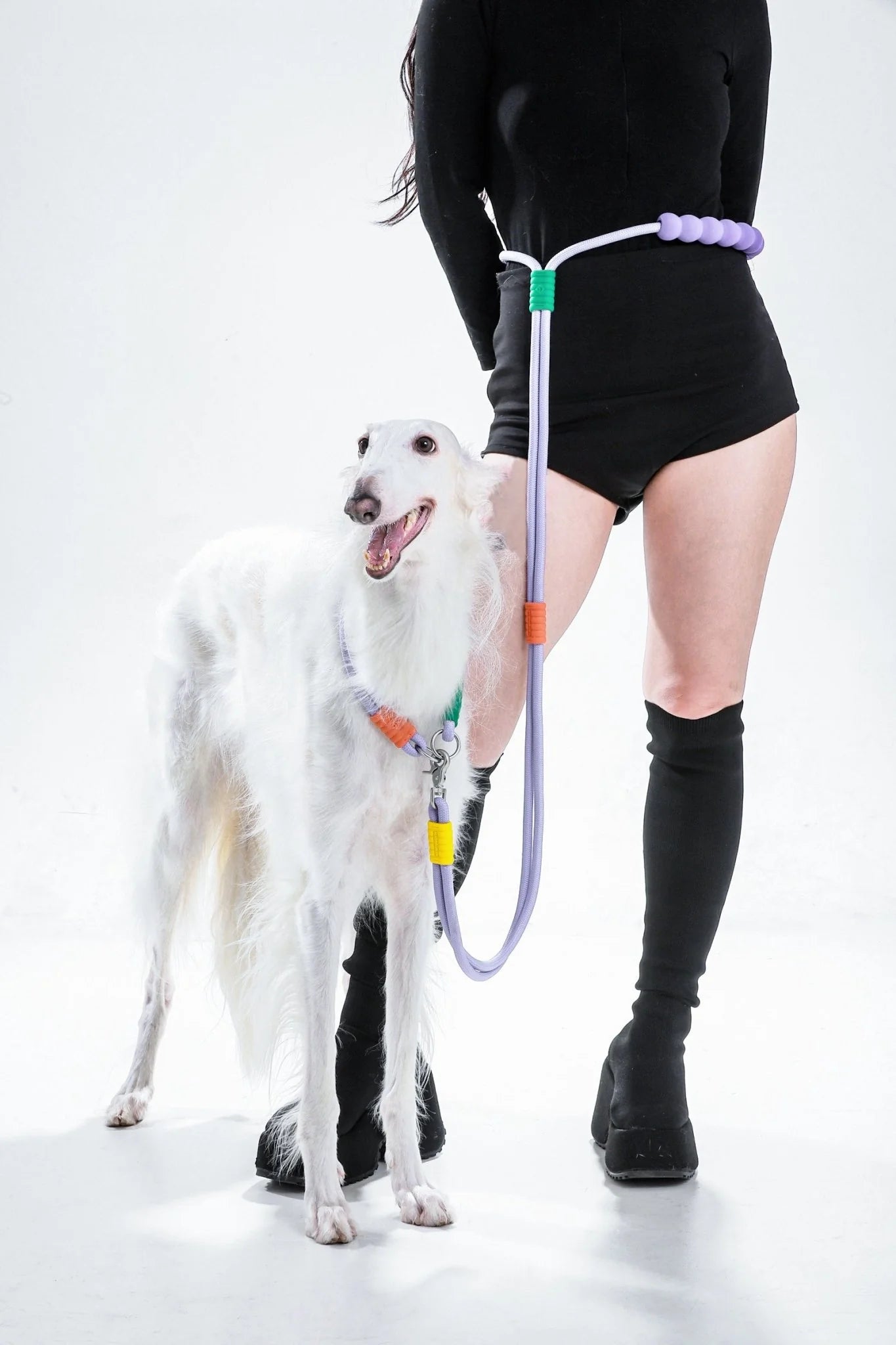 Hand-Free Double-Segmented Dog Leash