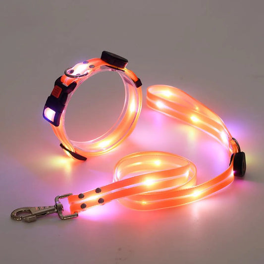 LED Light-Up Dog Leash – Rechargeable Safety Leash for Night Walks