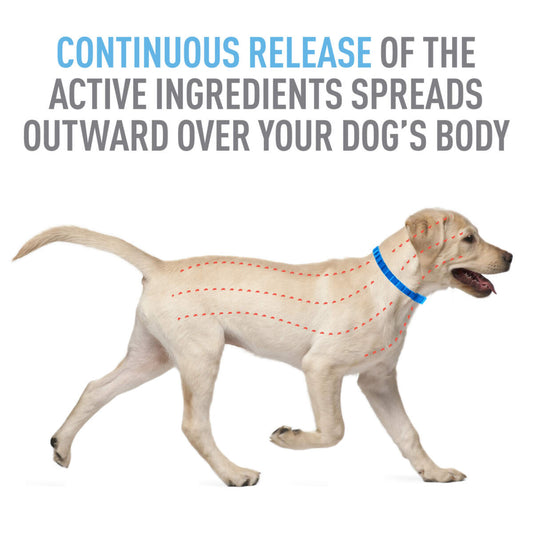 Adams Flea & Tick Control Collar for Dogs