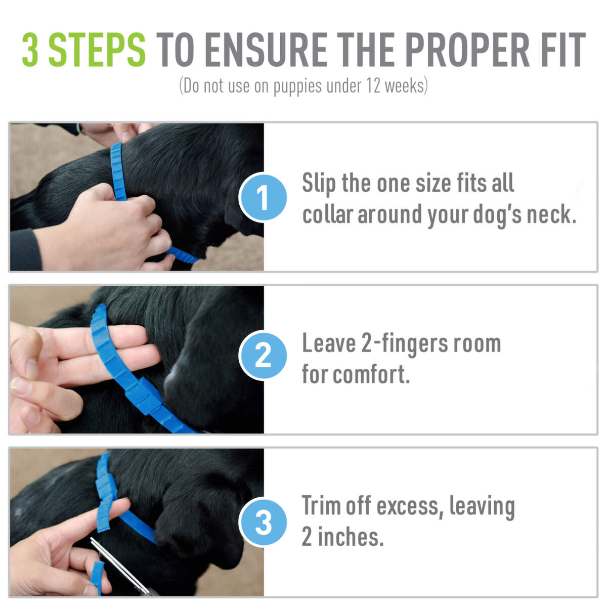 Adams Flea & Tick Control Collar for Dogs
