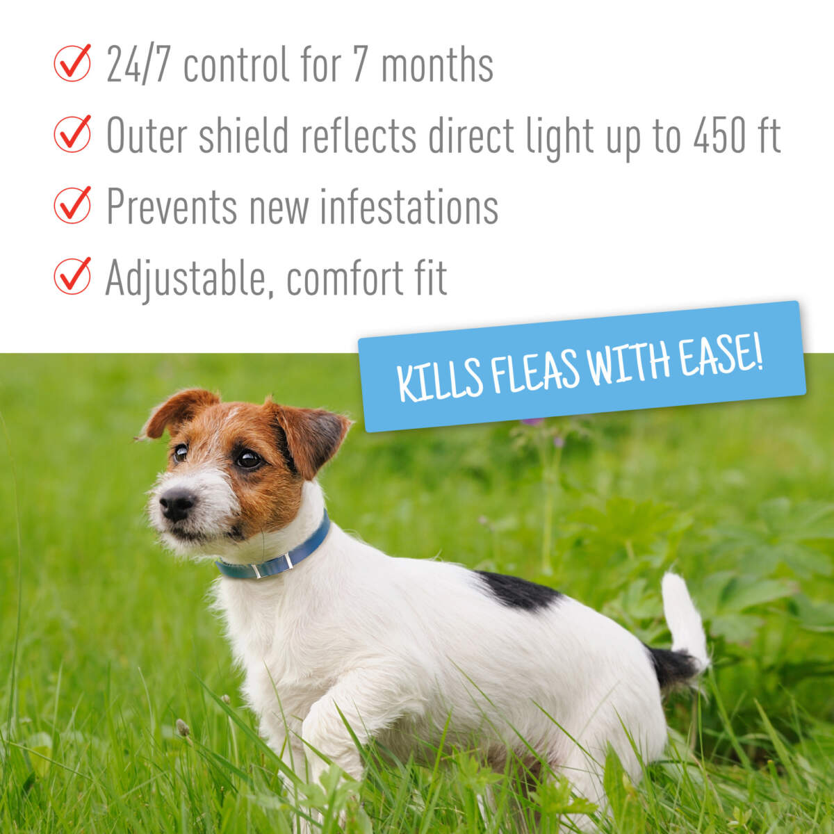 Adams Flea & Tick Control Collar for Dogs