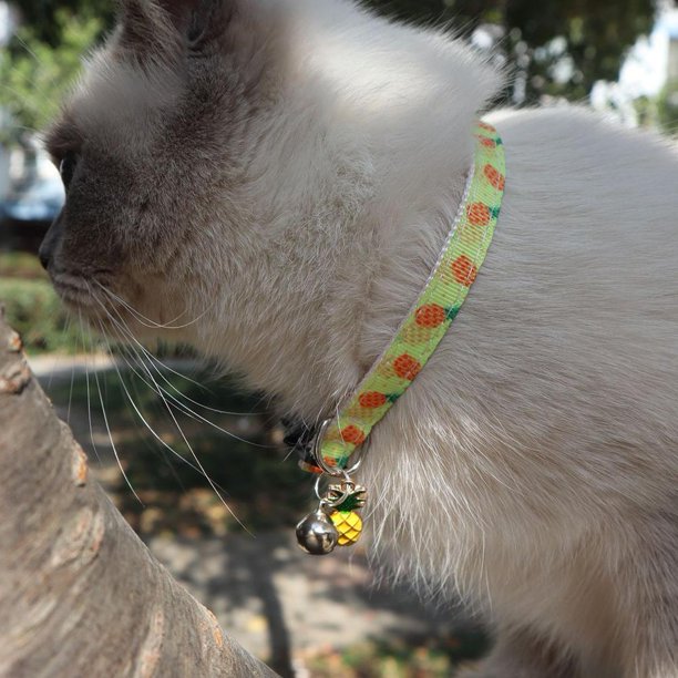 Cat Collar With Fruit Accessories Bell Pet Collar