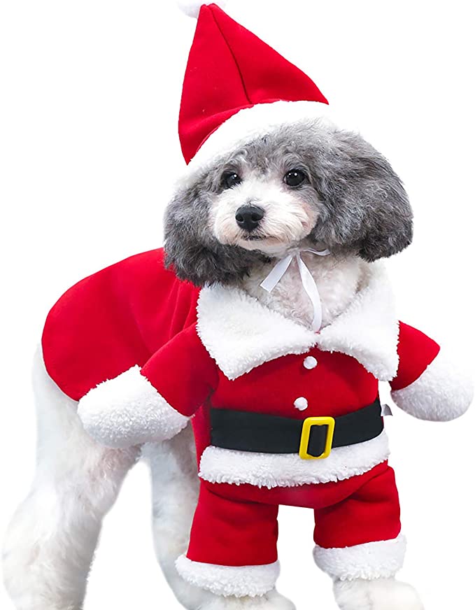 Santa Claus Dog Christmas Costume – Paws and Claws GY Santa Claus Dog Christmas Costume – Paws and Claws GY