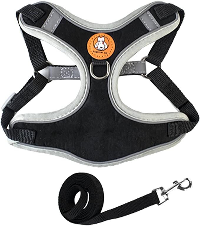 Dog Harness Leash Set