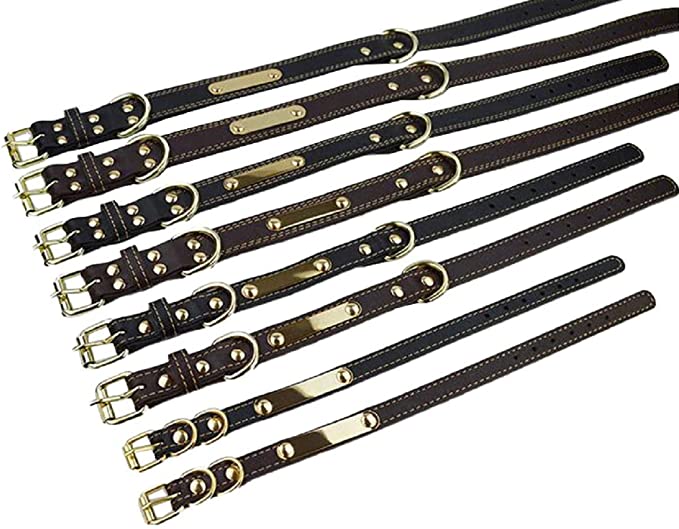 Personalized Heavy-duty Leather Engraved Dog Collar