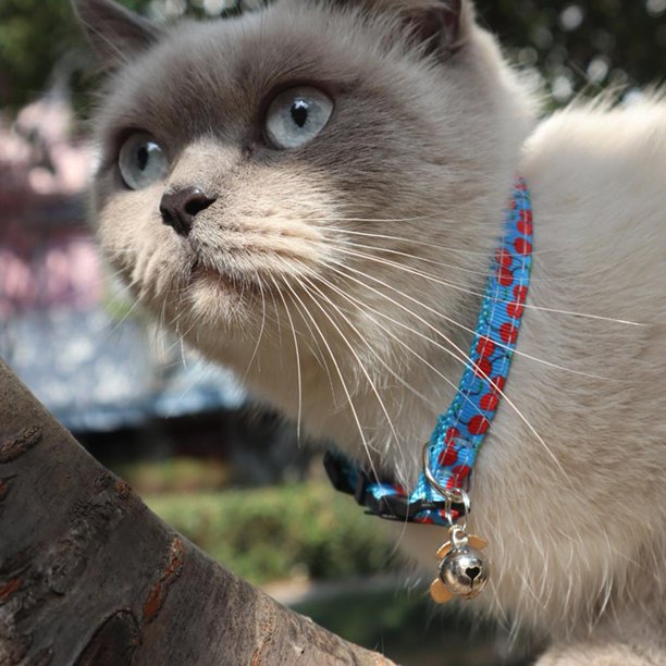 Cat Collar With Fruit Accessories Bell Pet Collar
