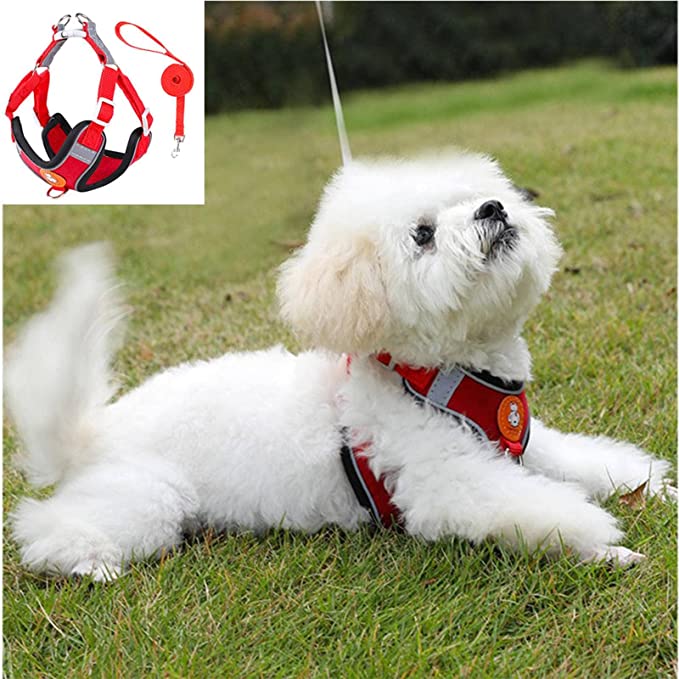 Dog Harness Leash Set