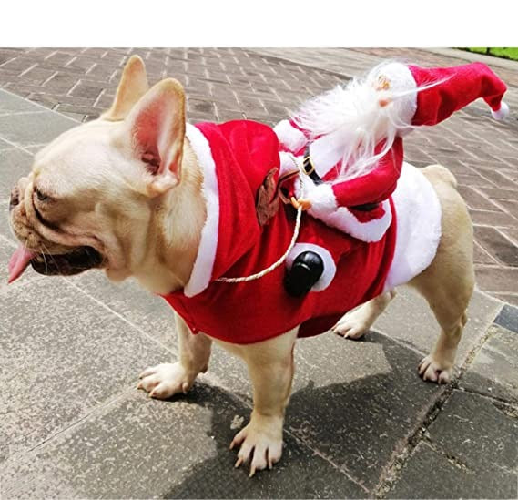 Santa Riding Deer Dog Christmas Costume
