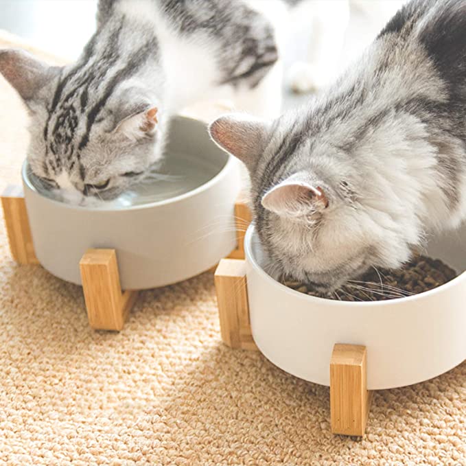 Modern Ceramic Pet Bowl with Bamboo Frame