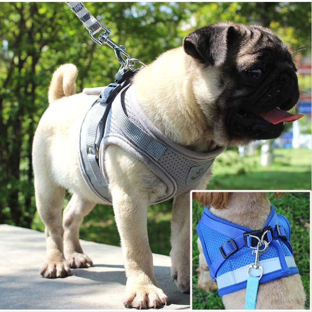 Adjustable Reflective Vest-Style Pet Harness Set