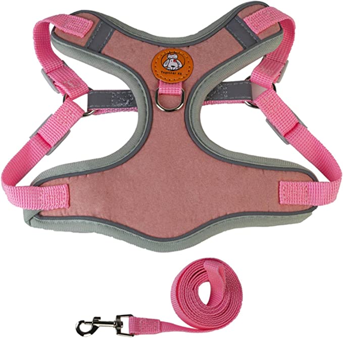 Dog Harness Leash Set