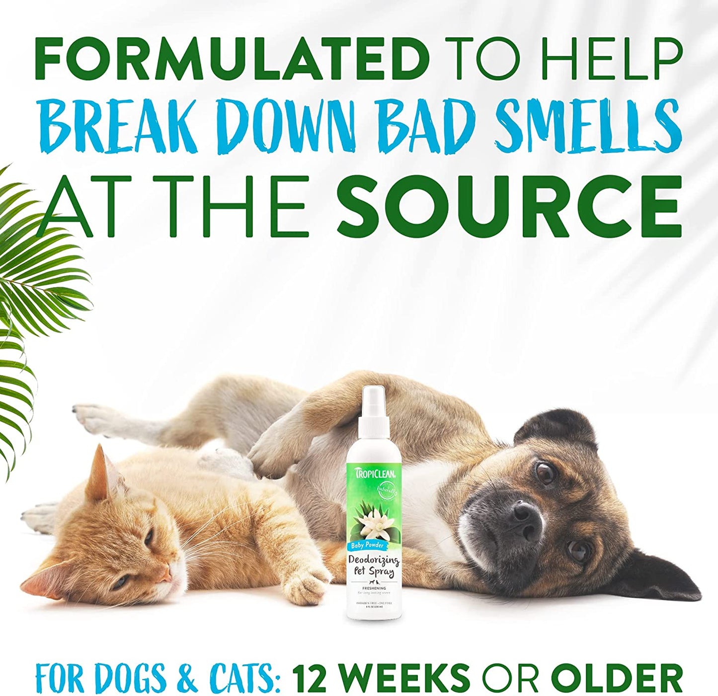Tropiclean Baby Powder Deodorizing Cologne Spray For Pets 8 oz