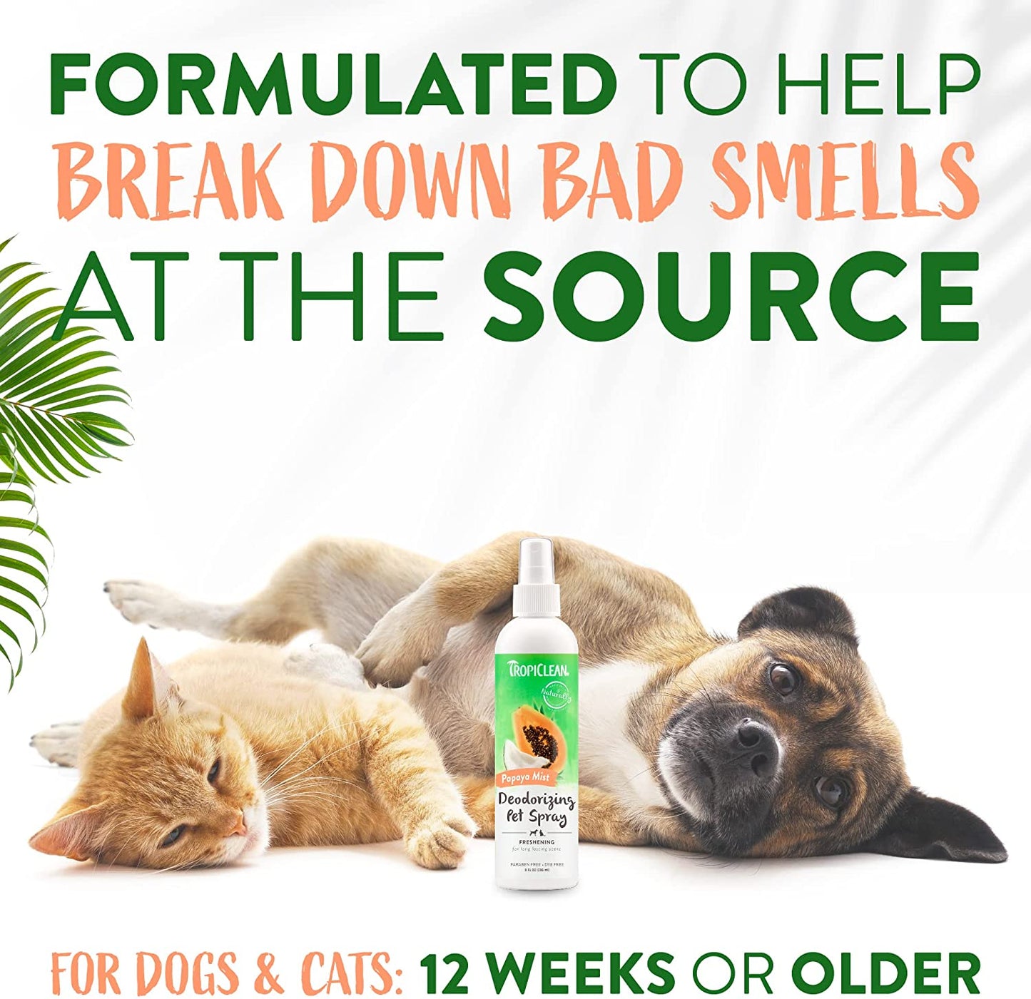 Tropiclean Papaya Mist Deodorizing Cologne Spray For Dogs and Cats, 8 oz.