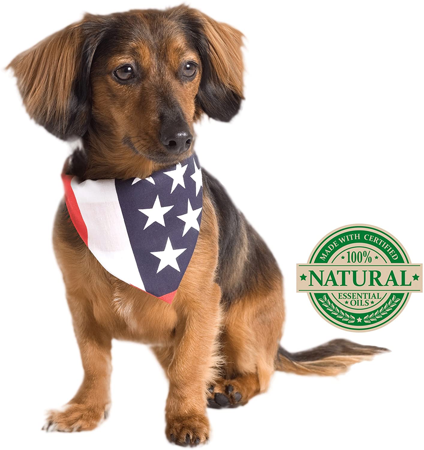 Vet's Best Flea and Tick Spot-on Drops 0.6 fl. oz. | 3-8 Month Supply for Various Dog Sizes