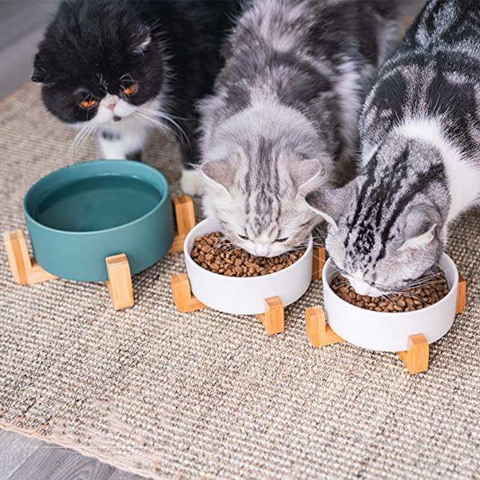 Modern Ceramic Pet Bowl with Bamboo Frame
