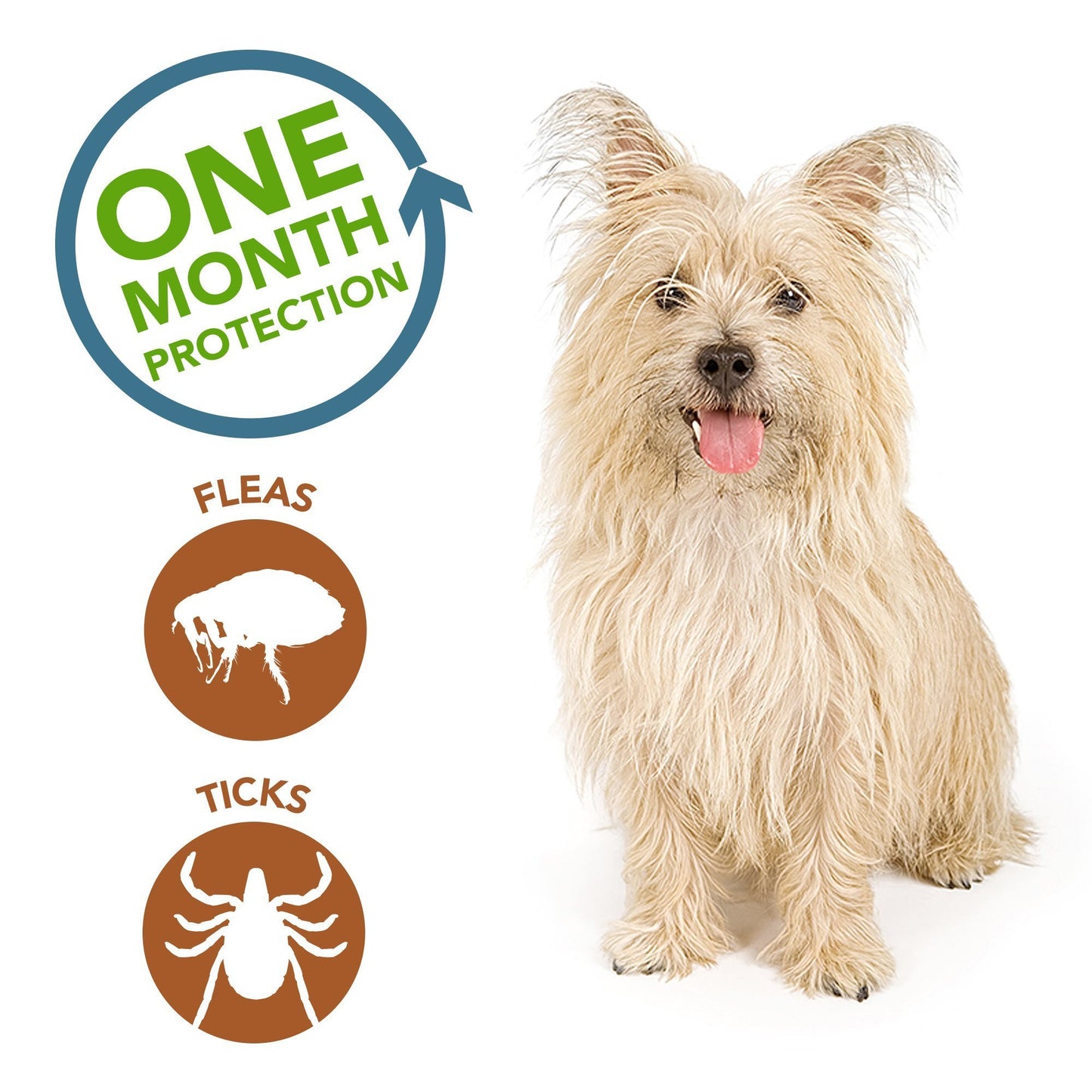 Vet's Best Flea and Tick Spot-on Drops Topical Treatment for Dogs, USA Made