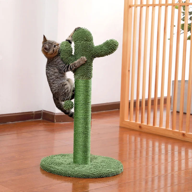 Cactus Scratching Post