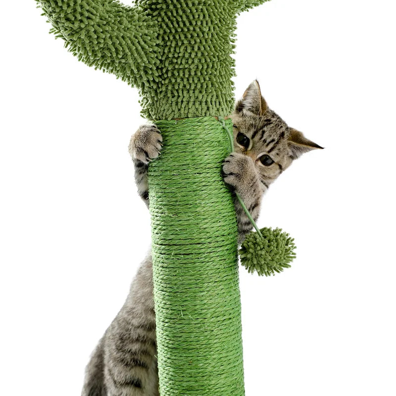 Cactus Scratching Post