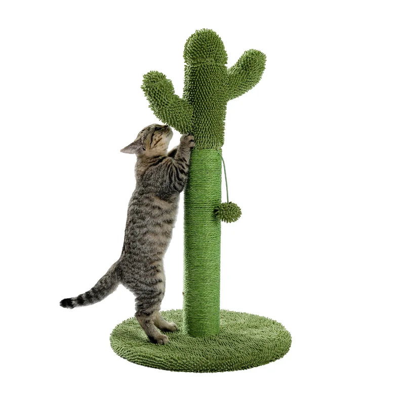 Cactus Scratching Post