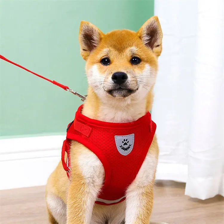 Adjustable Reflective Vest-Style Pet Harness Set