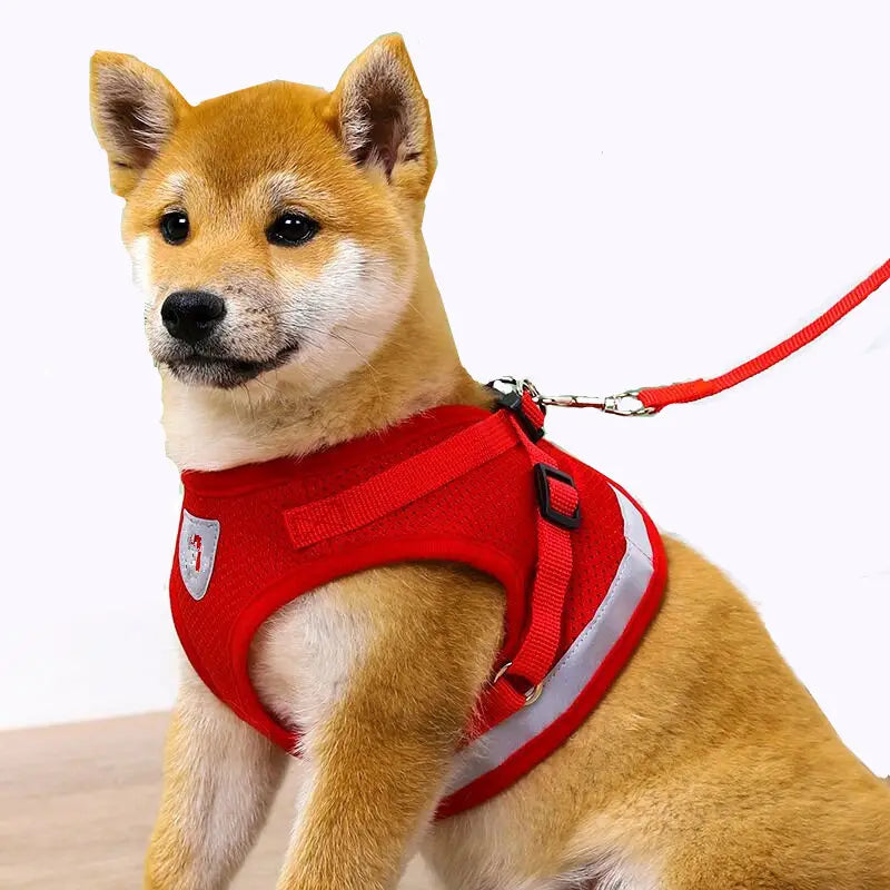 Adjustable Reflective Vest-Style Pet Harness Set