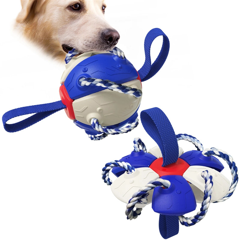 Large 2-Way Durable Ball Chew Toy