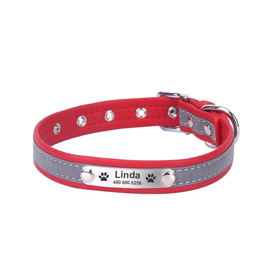 Personalized Pet Collar
