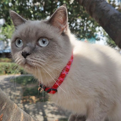 Cat Collar With Fruit Accessories Bell Pet Collar