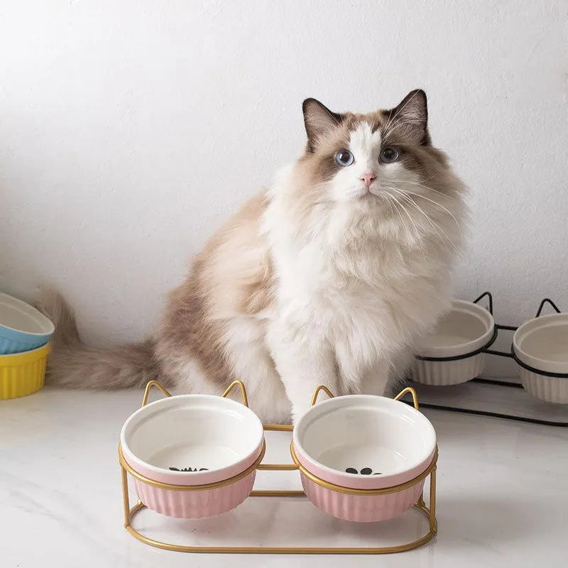 Elevated Metal Frame Ceramic Cat Double Bowls